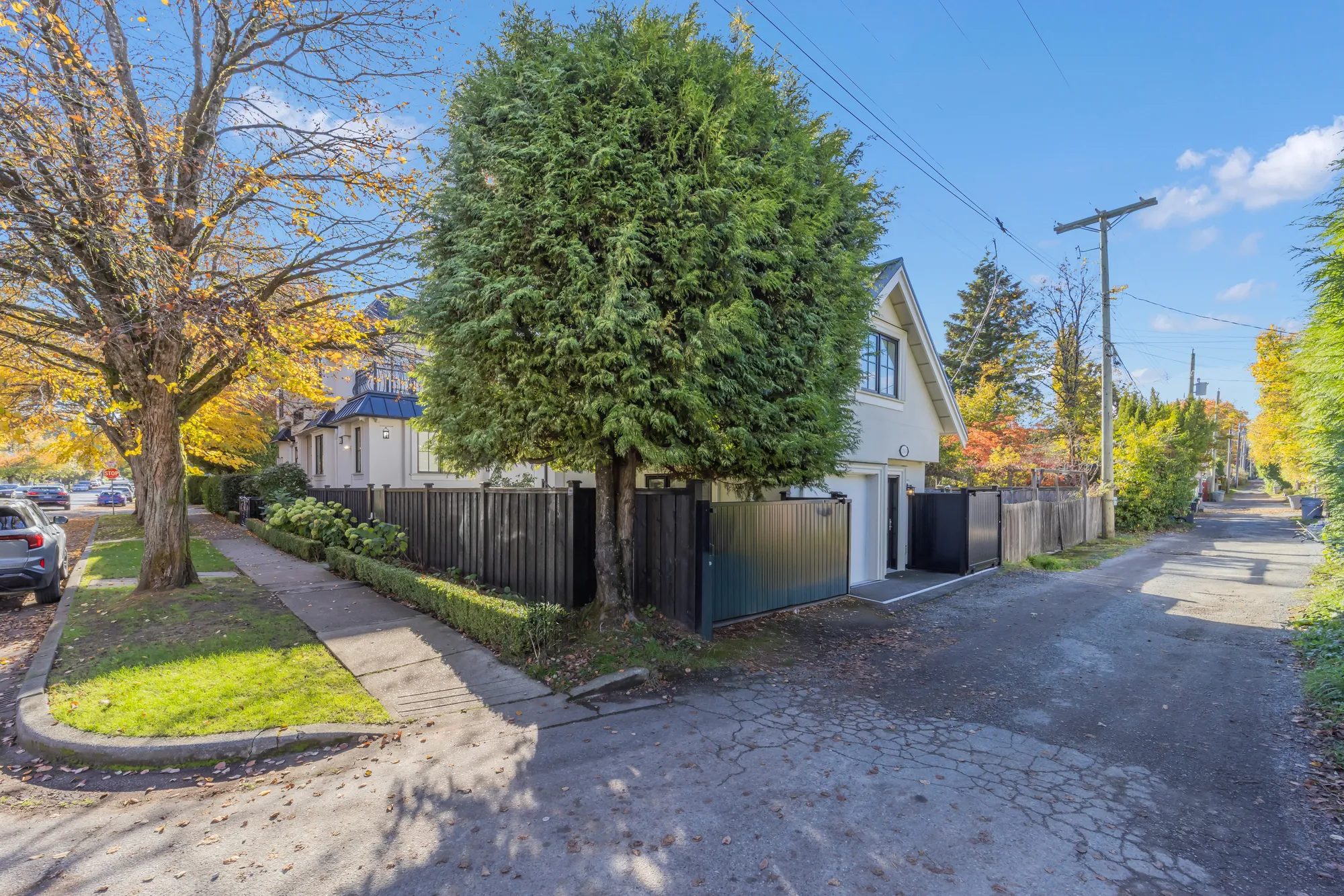 The corner of the lot and the lane: a tall cedar, the laneway house behind a black fence, the gravel lane running off to the right